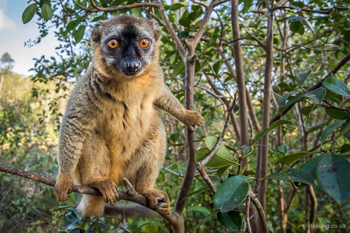 Captivating Nature – Photo Workshops & Tours